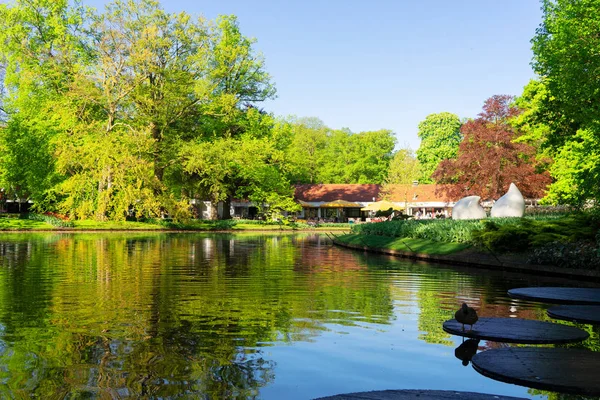 Spring pond in park — Stock Photo, Image