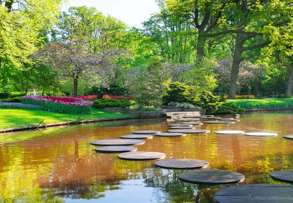 Lagoa de primavera no parque — Fotografia de Stock