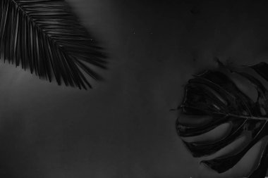 Yaz düzlüğü manzarası