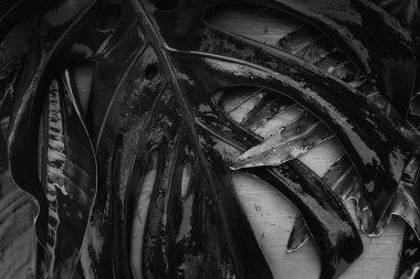 Yaz düzlüğü manzarası