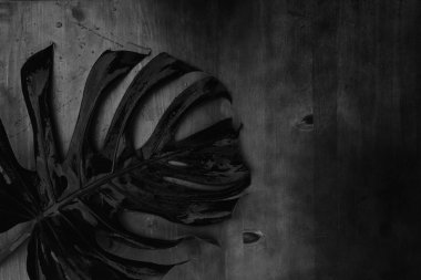 Yaz düzlüğü manzarası