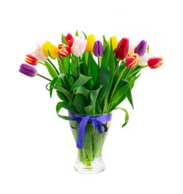 kırmızı ve sarı laleler