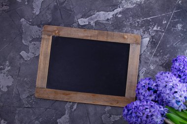 Sümbül taze çiçek Bahçe konseptiyle