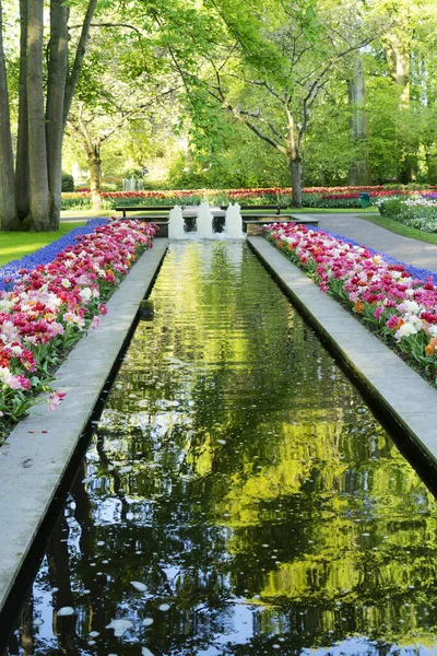 Kolam musim semi di taman — Stok Foto