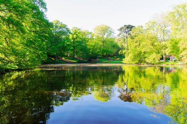 Parktaki bahar göleti