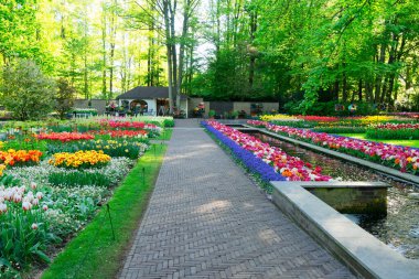 Resmi bahar bahçesi