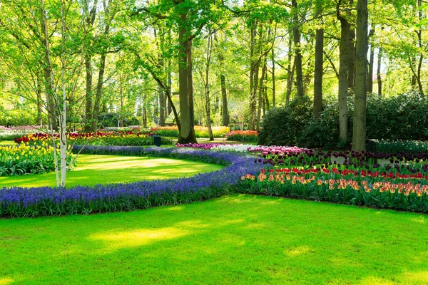 Gramado fresco com flores — Fotografia de Stock