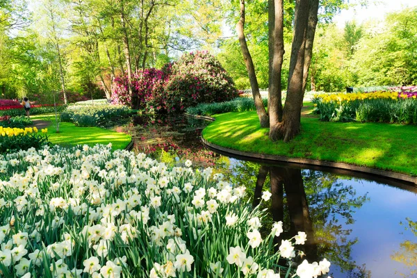 Fresh lawn with flowers — Stock Photo, Image