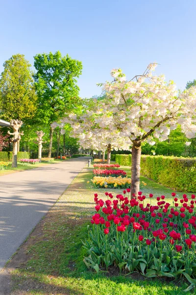 Formell vårträdgård — Stockfoto