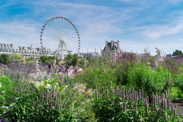 Zahrada Tuileries, Paříž — Stock fotografie