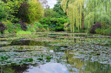 Giverny 'de zambaklı gölet