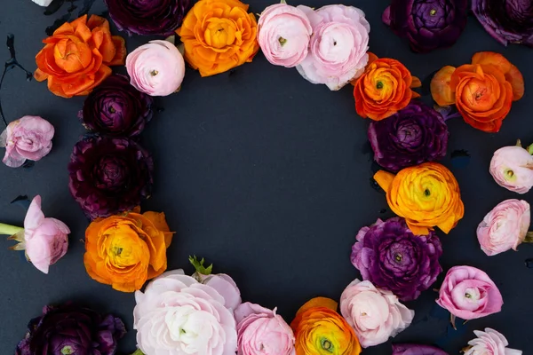 Kvetoucí květiny na černé — Stock fotografie