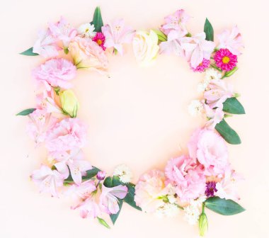 Ranunculus düz konum