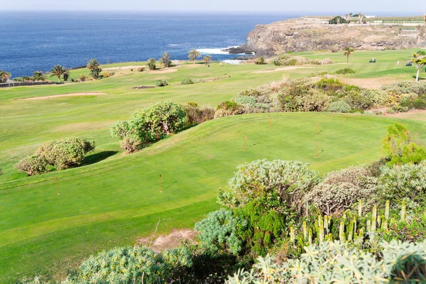 Green golf course — Stock Photo, Image