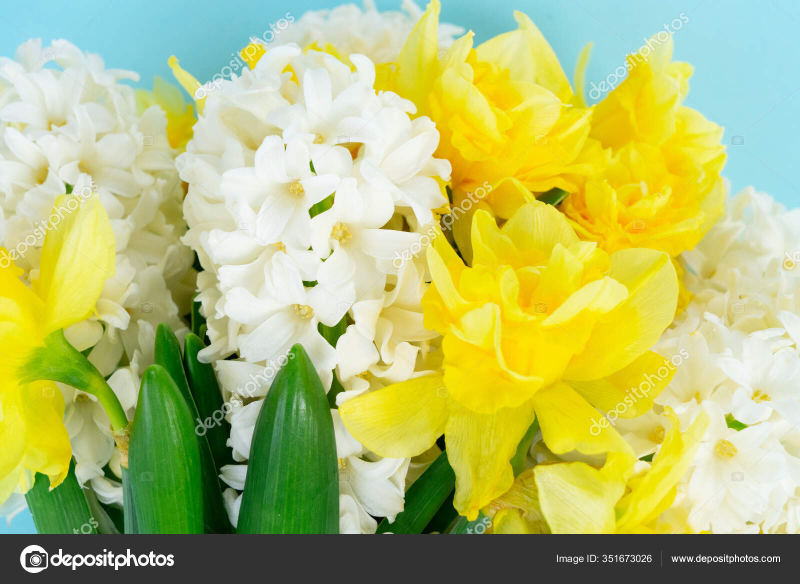 Hyacinth and daffodils — Stock Photo © Neirfys 351673026