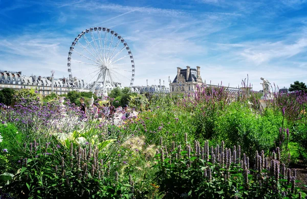 Zahrada Tuileries, Paříž — Stock fotografie