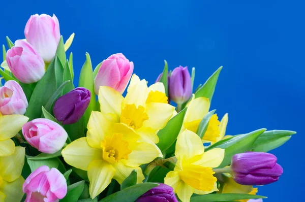 Tulipani e narcisi fiori — Foto Stock