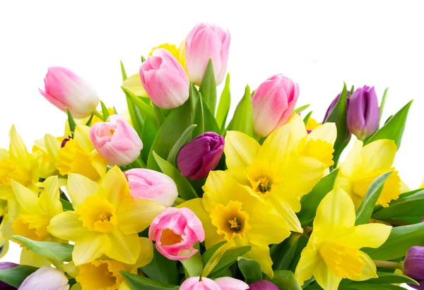 Kwiaty tulipanów i żonkili — Zdjęcie stockowe