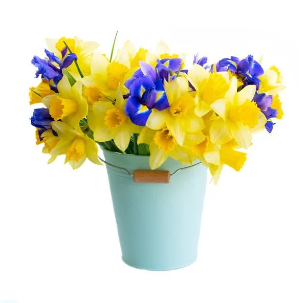 Bouquet de fleurs de jonquille et d'iris — Photo