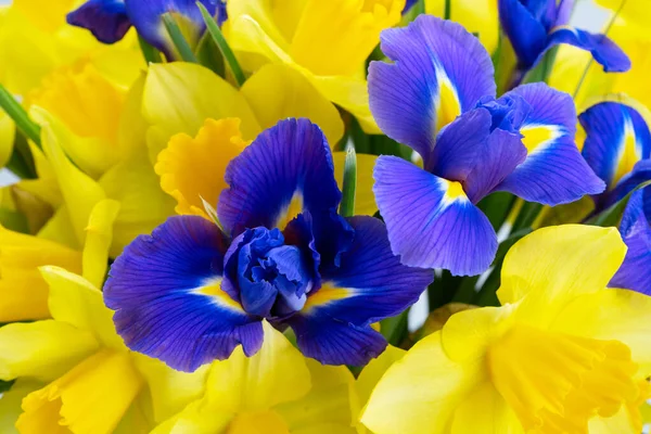 Buquê de flores de narciso e íris — Fotografia de Stock