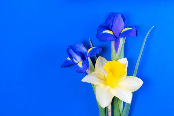 Ramo de flores de narciso e iris — Foto de Stock