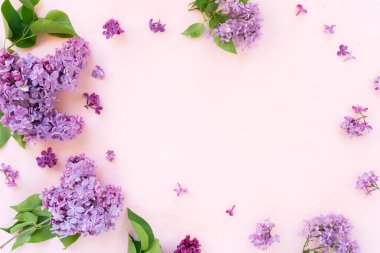 Taze leylak çiçekleri