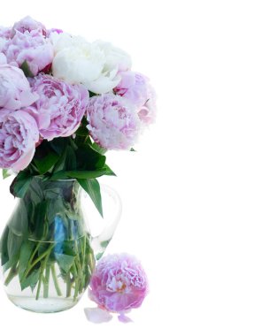 Taze şakayık çiçekleri