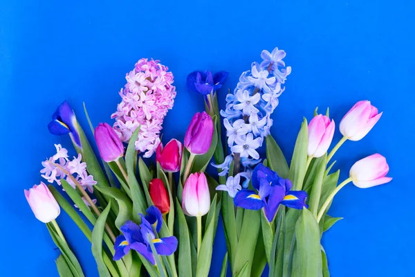 Růžové a fialové tulipány květiny — Stock fotografie