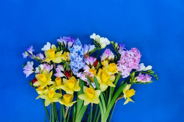 Narcisos florecientes, jacintos y flores de freesia — Foto de Stock