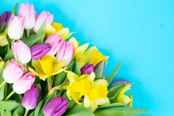 Tulipanes y narcisos flores — Foto de Stock