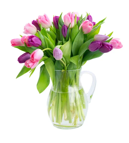 Pink and violet tulips flowers — Stock Photo, Image