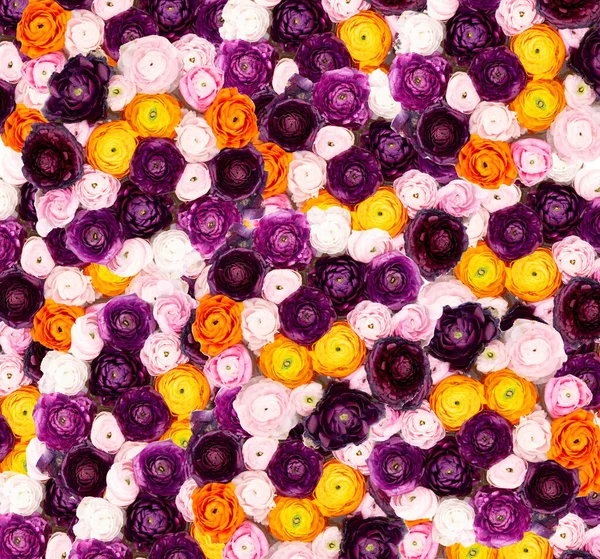 Цветы плоская композиция — стоковое фото