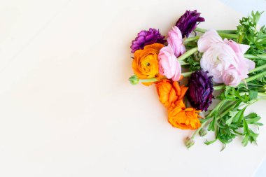 Çiçeklerin düz konumu