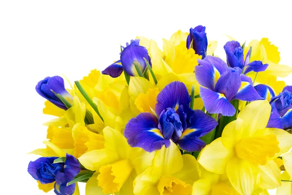 Boeket van narcis en iris bloemen — Stockfoto