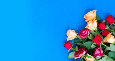 turuncu ve kırmızı güller