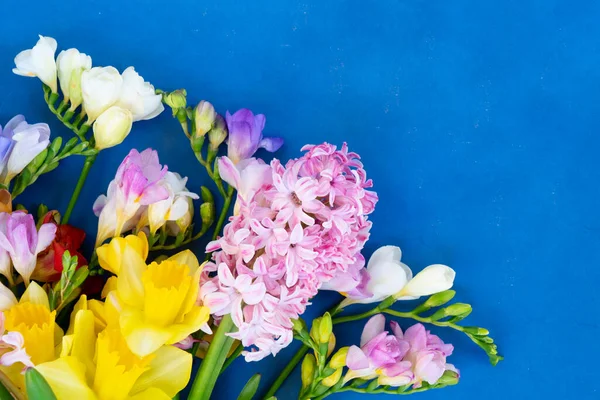 Blooming daffodils, hyacinth and freesia flowers — Stock Photo, Image