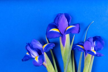 Nergis çiçeği ve nergis çiçeği buketi