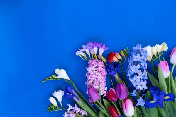 Flores de tulipanes rosa y violeta — Foto de Stock
