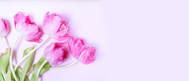 Pembe çiçek açan laleler