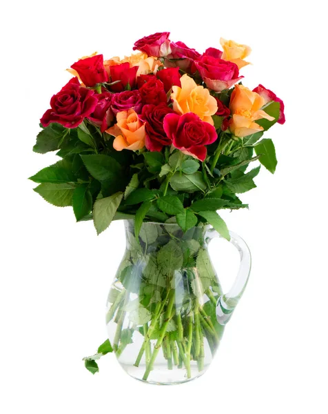 Orange and red roses — Stock Photo, Image