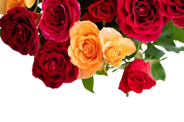 Oranžové a červené růže — Stock fotografie
