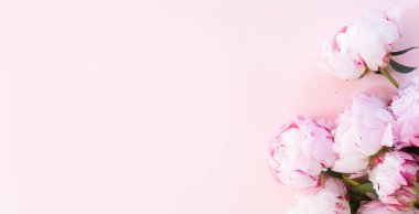 Taze şakayık çiçekleri