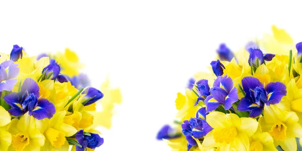 Bukett av påsklilja och iris blommor — Stockfoto