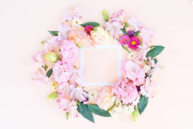 Ranunculus düz konum