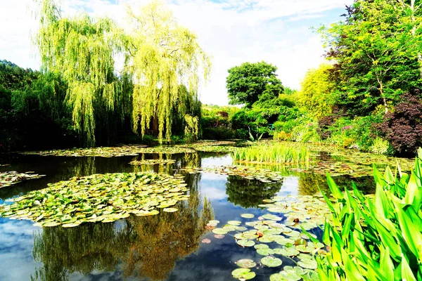 Pond with lilies in Giverny — Stock Photo, Image