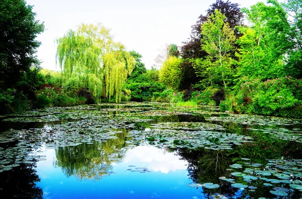 Pond with lilies in Giverny — Stock Photo, Image