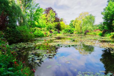 Giverny 'de zambaklı gölet
