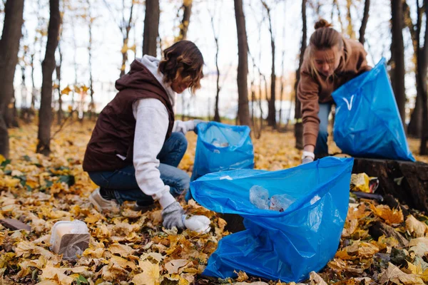 Grupo de voluntarios en cuclillas, recogiendo basura en el bosque estacional de otoño . — Foto de Stock