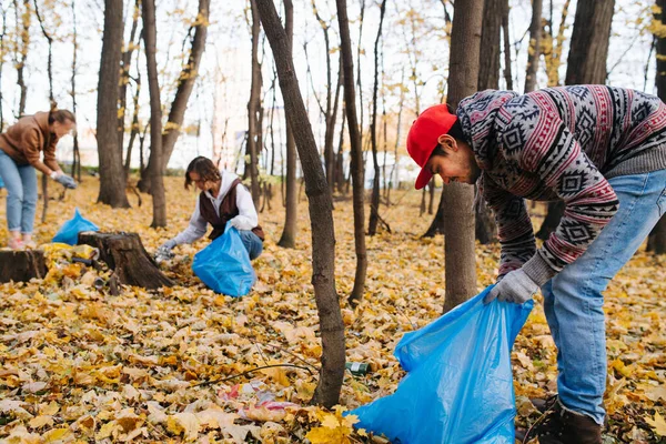 Adam eğilmiş, sonbaharda mevsimlik bir ormanda çöp topluyor.. — Stok fotoğraf