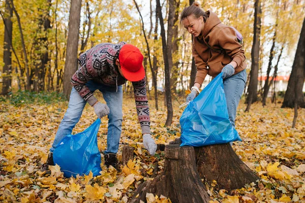 Sonbaharda mevsimlik bir ormanda çöp toplayan iki gönüllü ve genç bir çift. — Stok fotoğraf